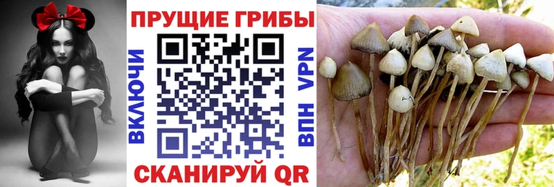 Галлюциногенные грибы мухоморы  Добрянка 